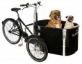 nihola dog